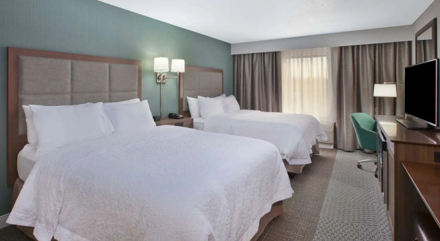 Номер Standard Hampton Inn & Suites Alliance