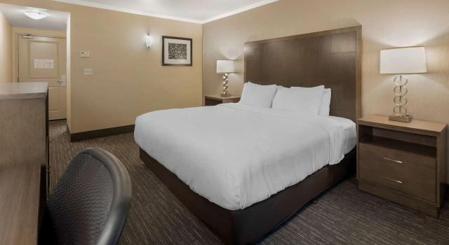 Двухместный номер Standard Best Western Plus Chena River Lodge