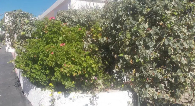 Коттедж Noto Marina, 100 Metri Dal Mare - Wi Fi Gratuito
