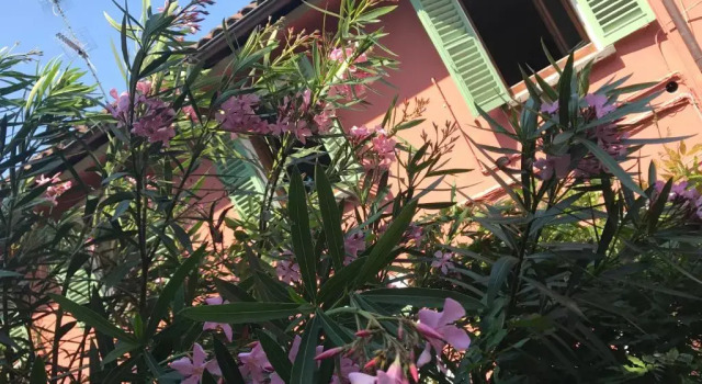 Il Giardino Segreto Arona, Reserva ahora Apartamento Arona Lago Maggiore