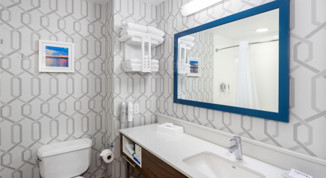 Четырёхместный номер Standard Hampton Inn Buffalo-South/I-90
