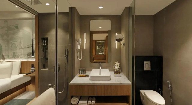 Двухместный номер Superior Novotel Mumbai Juhu Beach