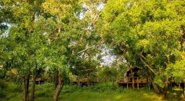 Тент Rukiya Safari Camp
