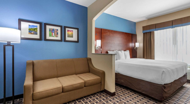 Двухместный люкс Comfort Suites Georgetown