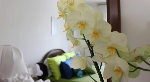 Номер Standard B&B Casa Ippolito Stabiae Coast