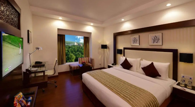 Люкс Lords Inn Jodhpur