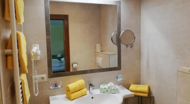 Номер Standard Hotel Garni Erler