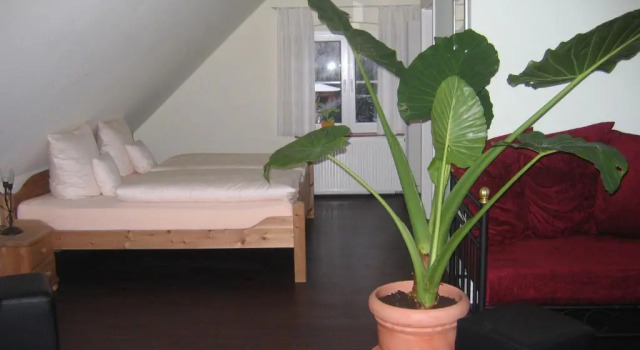 Номер Standard Gästehaus Oswald