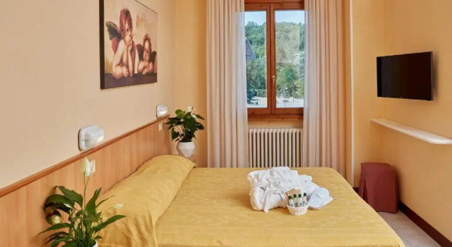 Двухместный номер Standard Hotel Plaza
