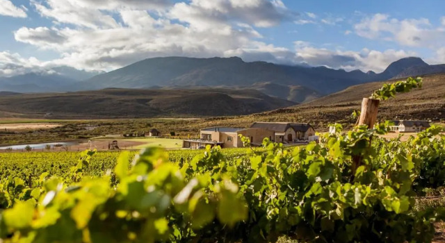 Апартаменты Цокольный этаж Lords Wine Farm
