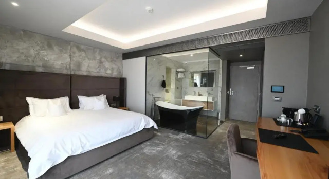 Номер Deluxe Aniroc Signature Hotel