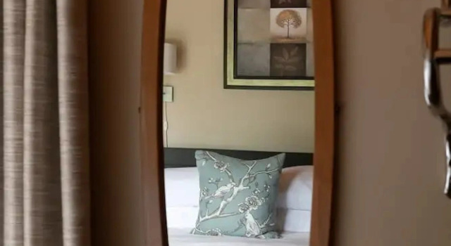 Номер Superior Mount Robson Mountain River Lodge