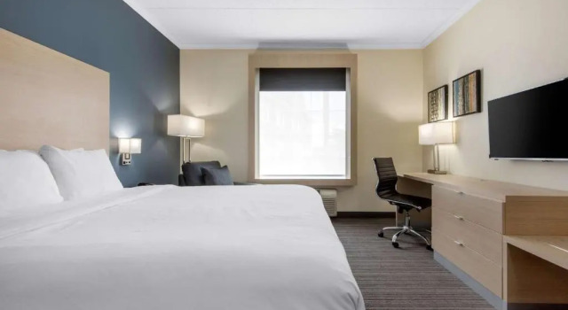 Номер Standard Quality Inn & Suites Oakville-Mississauga