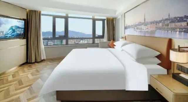 Люкс Deluxe Vienna Hotel (Yingtan Yujiang Railway Station)