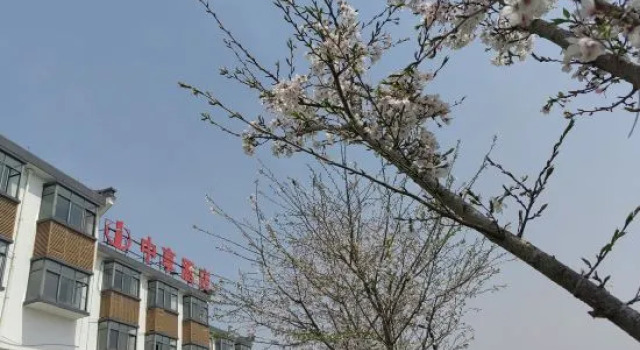 Zhongxiang Hotel (Jiashan Xitang Branch), Prenota Hotel Hotel a Jiaxing con parcheggio, Parcheggio