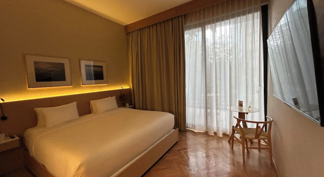 Номер Deluxe ANA Polanco