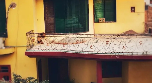 Aimys Villa Guest House