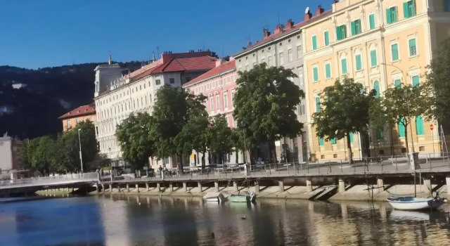 Двухместный номер Standard Little flower in city center
