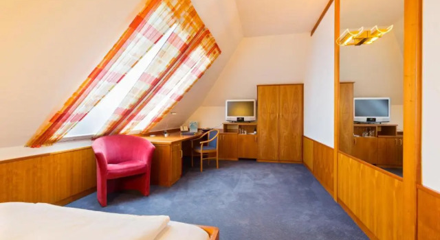 Одноместный номер Business Vienna Sporthotel