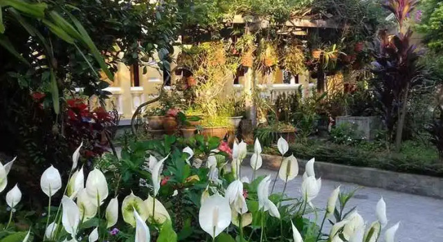 Ciel Homestay