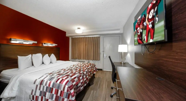 Двухместный номер Standard Red Roof Inn Tampa - Brandon