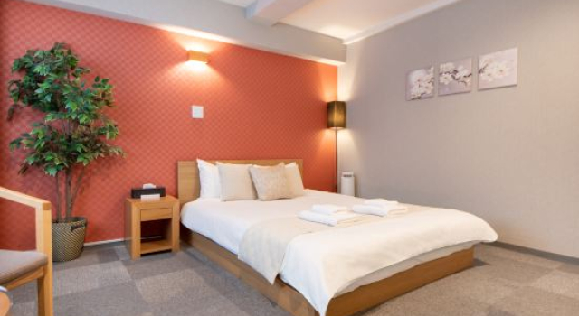 Номер Standard Hotel Neiraku