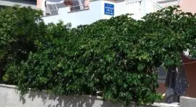 Apartment Aria, Забронировать Апартаменты/квартира Вир Zadar Islands