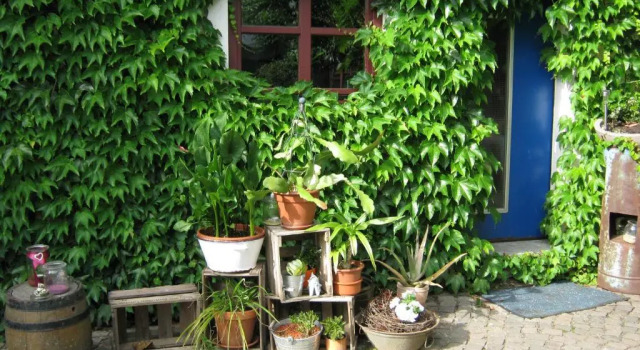 Студия Stierstall-Suite Pension Wahlenau