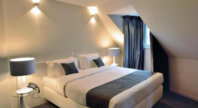 Двухместный номер Executive Hotel Retro