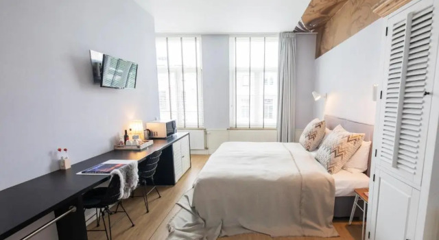 Двухместный номер Deluxe Stadsvilla Hotel Mozaic Den Haag