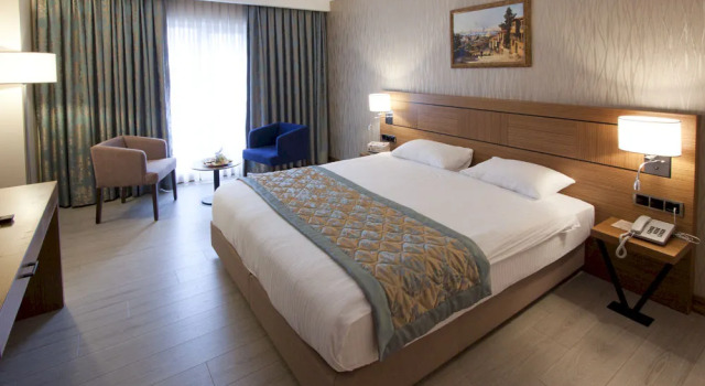 Mirel Otel