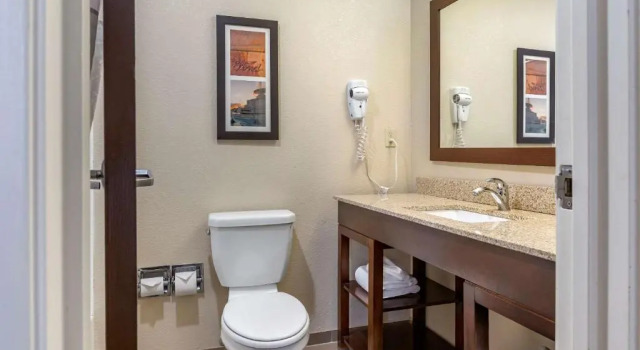 Люкс Comfort Inn Near Greenfield Village