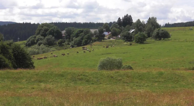 Hofgut Dürrenbühl, Reserva ahora Hotel Hoteles en Baden-Wurtemberg con aparcamiento, Aparcamiento