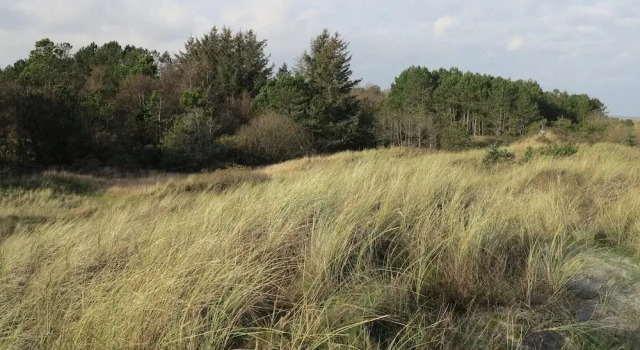 Коттедж Peaceful Holiday Home in Jerup near Sea