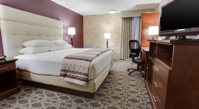 Номер Deluxe Drury Plaza Hotel San Antonio Airport