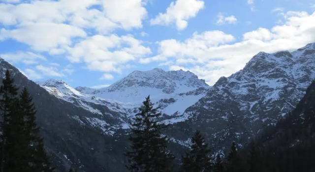 SEEWALD, Book Hotel Arosa Grisons