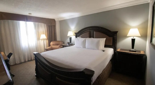 Двухместный номер Executive Wyndham Houston near NRG Park - Medical Center