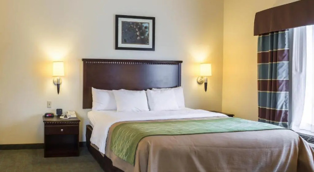 Номер Standard Quality Inn Donaldsonville - Gonzales