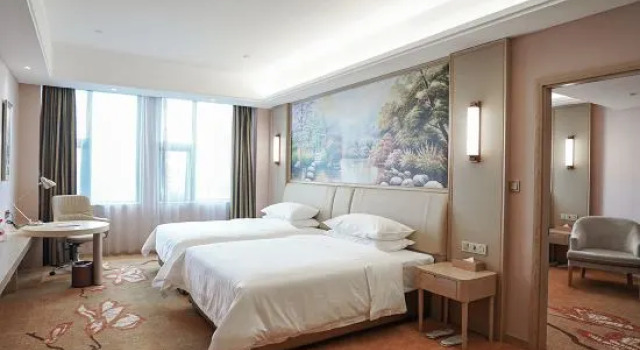 Люкс Vienna International Hotel (Songshan South Road)