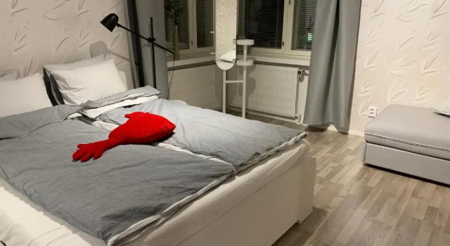 Апартаменты Viihtyisä, puhdas 2h+k, pikkukoti keskustassa