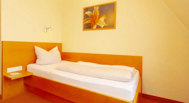Одноместный номер Standard Parkhotel Traunstein