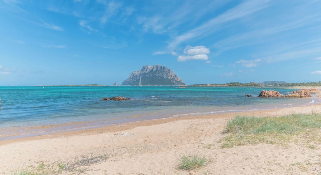 Il Vecchio Faro A48 150m From The Beach, Забронировать Апартаменты/квартира Апартаменты Gallura, Апартаменты/квартира