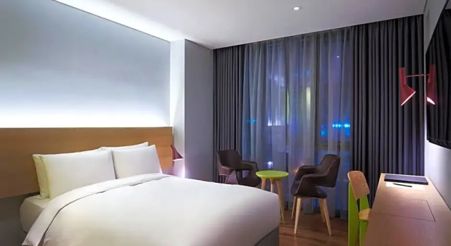 Номер Deluxe Hotel Peyto Gangnam