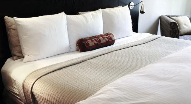 Двухместный номер Standard Hôtel Les Jardins du Lac