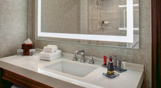 Двухместный номер Deluxe Detroit Marriott Southfield