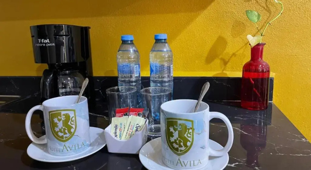 Двухместный номер Classic Hotel Avila
