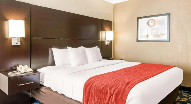 Двухместный номер для людей с ограниченными возможностями Standard City Express by Marriott Orlando International Drive