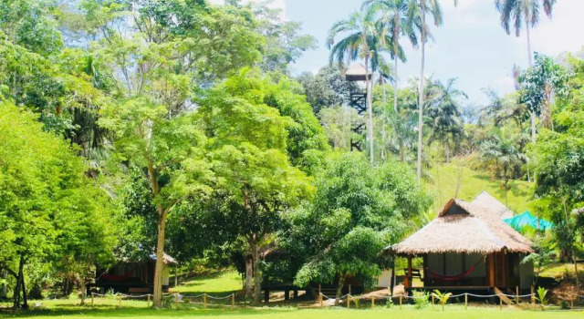 Шале La Habana Amazon Reserve