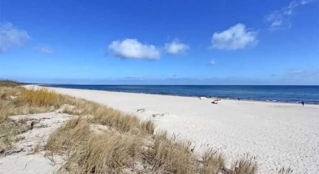 Ferienhaus Trassenheide USE 2852
