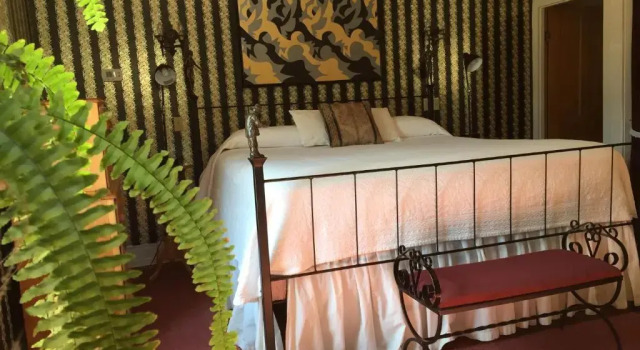 Люкс Abes Spring Street Guest House